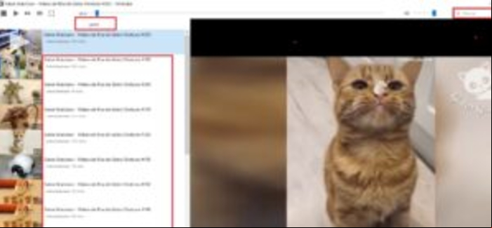 Cómo instalar YouTube - Instalar YouTube en Linux